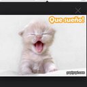 Dulce Cuellar - @dulcecuellar14 - Twitter