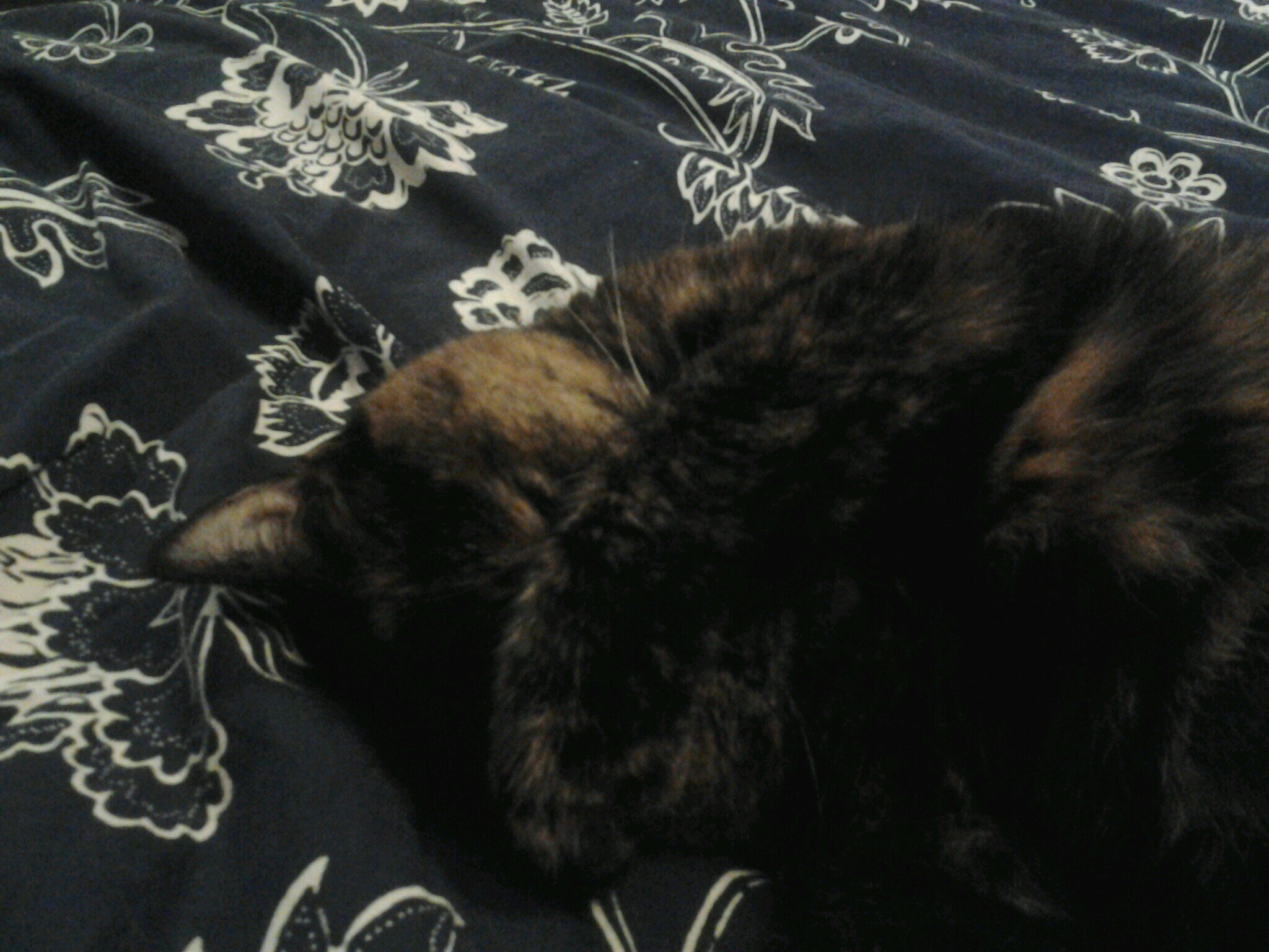 72gowerstreet's profile picture. Dee. MA.Back north after 29 years in exile. Proud WC heritage. Recovered teacher now working in HE Admin. Writer. Sherlock. Check!Please. Good Omens. She/her