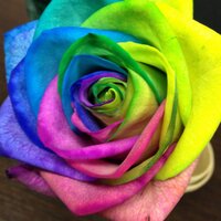 首藤 恵太 (@kimatteru) 's Twitter Profile