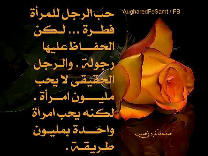 دم الغزال 07