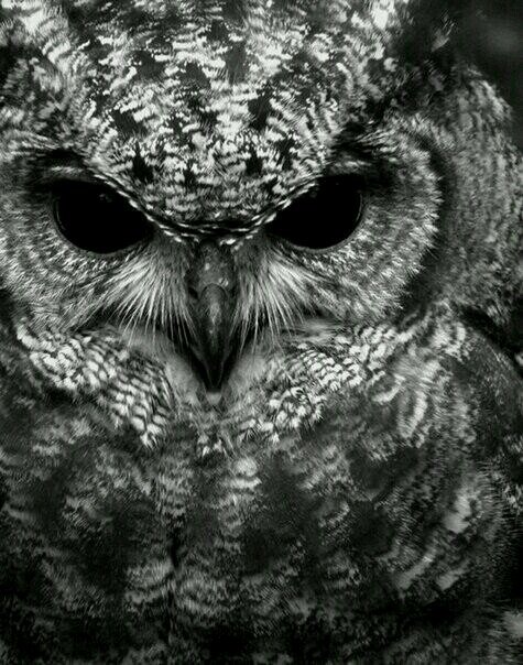 Seger11's profile picture. 