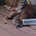 Ralph Damian Raphael - @damian_raphael - Twitter