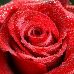 goodenoughoks's profile picture. Keep a good work, have a good life