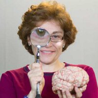 Pilar Quijada Comunicación 📣 (@pilarquijada3) 's Twitter Profile Photo Pilar Quijada Comunicación 📣 (@pilarquijada3) 's Twitter Profile Photo
