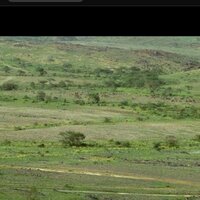 الاستاذ/ علي ال قطيش (@aloi2010) Twitter profile photo