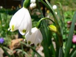 ndtmsetened's profile picture. 