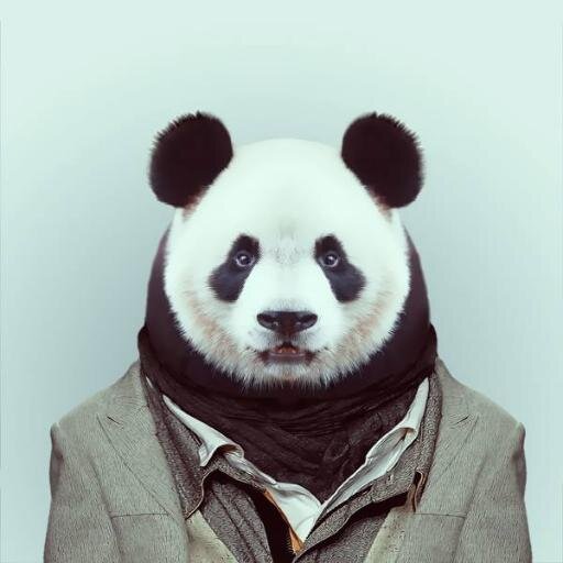panda_thlon's profile picture. Pour la survie des pandas : compte Twitter réalisé dans les règles du bambou en collaboration avec #WWF pour protéger ce grand animal #Panda