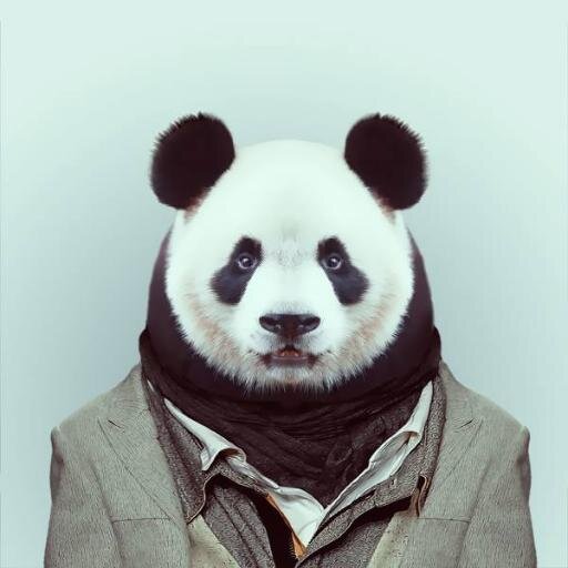 Pour la survie des pandas : compte Twitter réalisé dans les règles du bambou en collaboration avec #WWF pour protéger ce grand animal #Panda