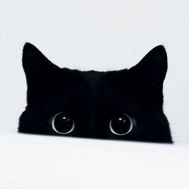 _____namiiii's profile picture. A diary .