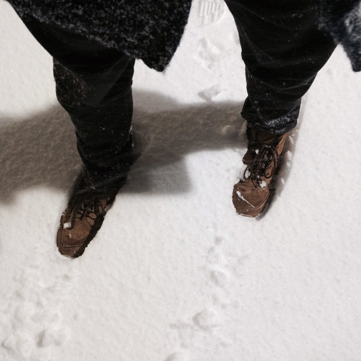 masakiksama's profile picture. 