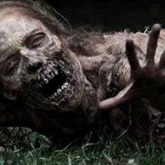 scream4mecom's profile picture. Horror film fanatic, music lover, writer, blah, blah, blah