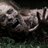 scream4mecom's profile image