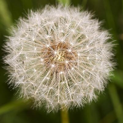 zuchiadriana's profile picture. Redattrice, correttrice di bozze, creatrice di giochi enigmistici, lettrice appassionata, curiosa del mondo