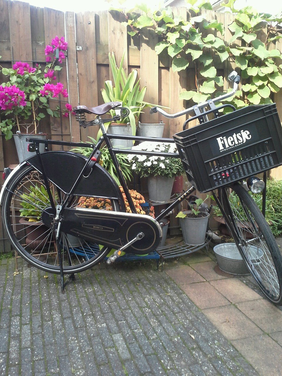 WaalRene's profile picture. Enthousiaste kijker van  veel sport. Houd van lekker.