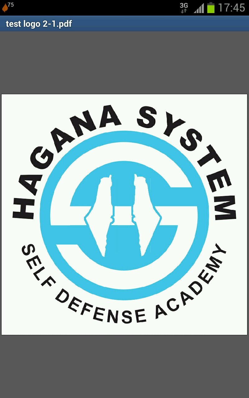 Club de Krav Maga et Self-defense à Marseille. Visitez notre site pour en savoir plus et rejoignez-nous !