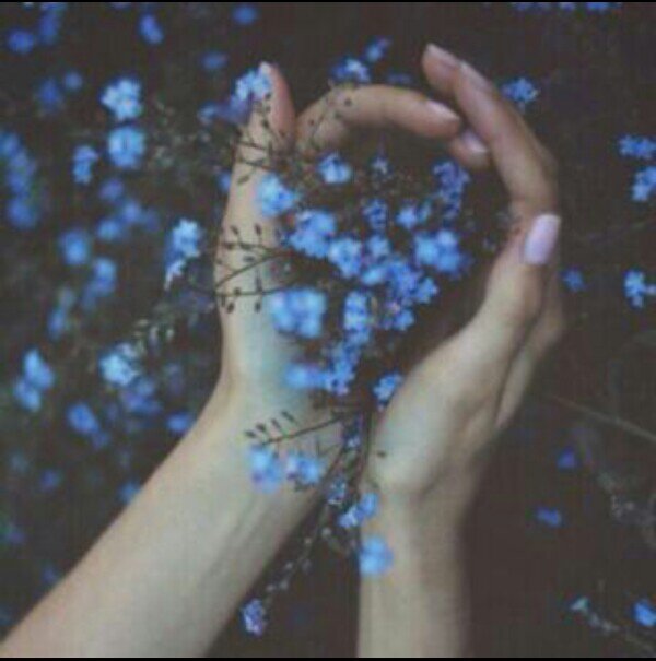 ‏‏‏‏‏‏‏‏‏‏♚ 》lnst:;joojoo_thِ