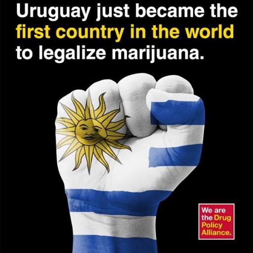 LegalEnVzla's profile picture. Campaña para terminar con la prohibición del cannabis en Vzla. Por una Venezuela mas libre y verde.