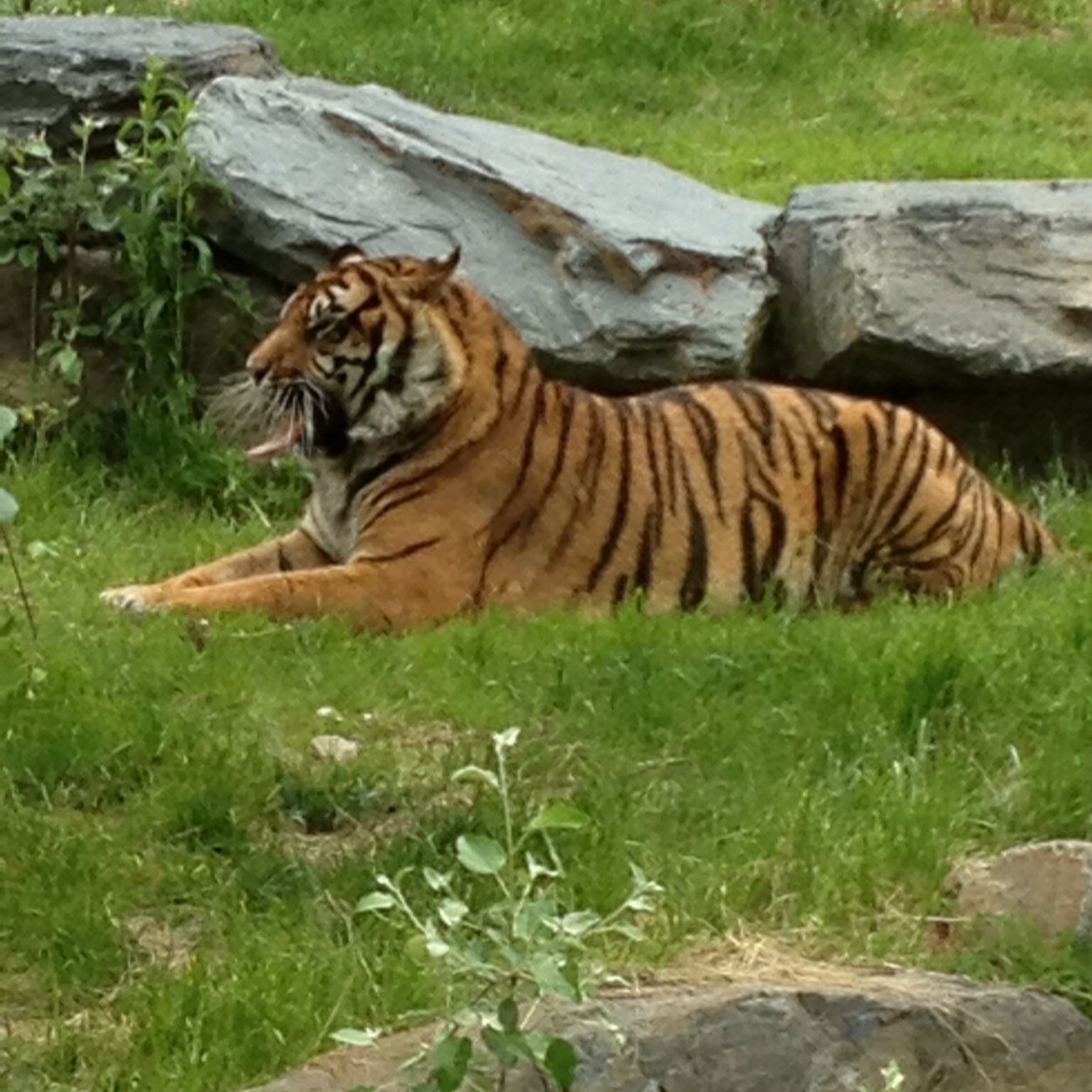 pauldefaoite's profile picture. Had I not been awake I would have missed it,