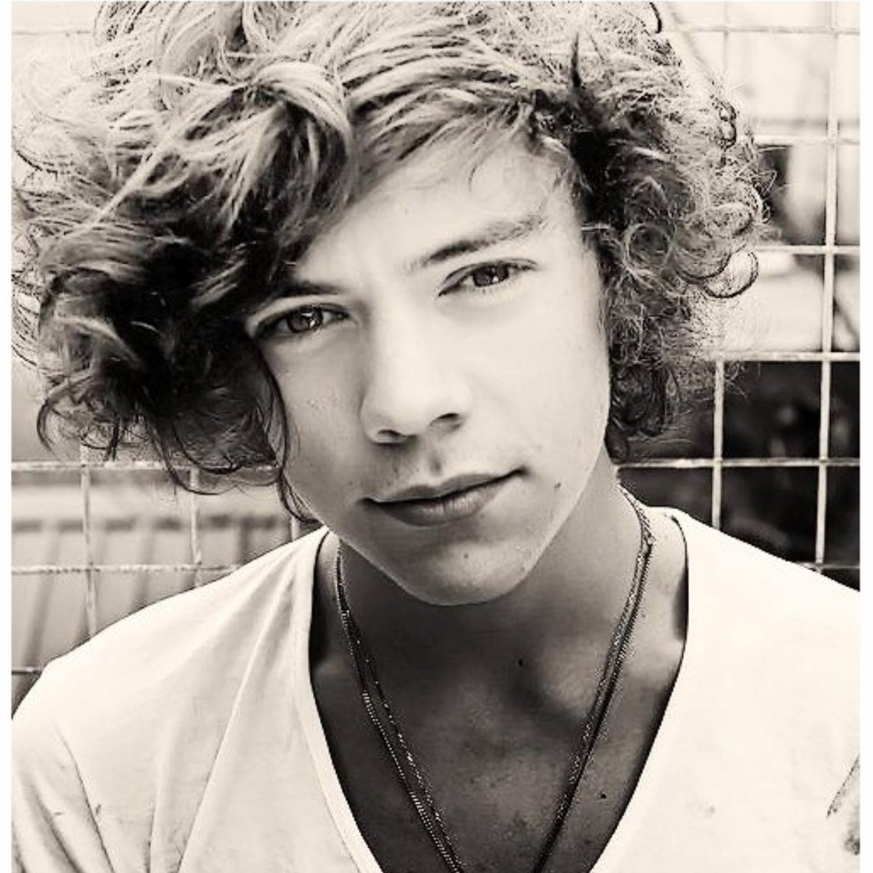 ambercook1Dxx's profile picture. 