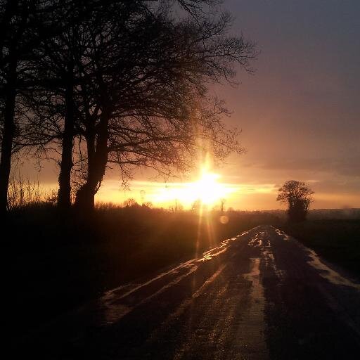 byebyetwitty's profile picture. @msimonin@mastodon.social