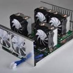 terrahashers's profile picture. 