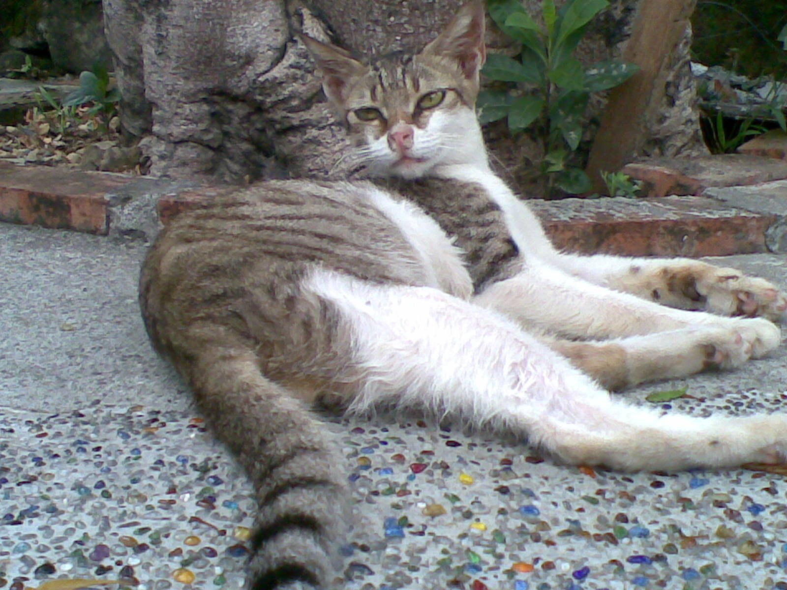 moegi0822's profile picture. 暗黑能量集散地中