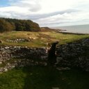 Shirley Mackenzie - @shirlanddec26 - Twitter