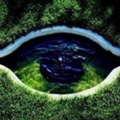 DETT67's profile picture. ...On ne refera pas la France avec les élites, on la refera avec la base ( Bernanos ) 🇫🇷