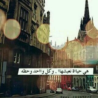 abdaulkrem's profile picture. 