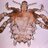 cazaSoluciones's profile image