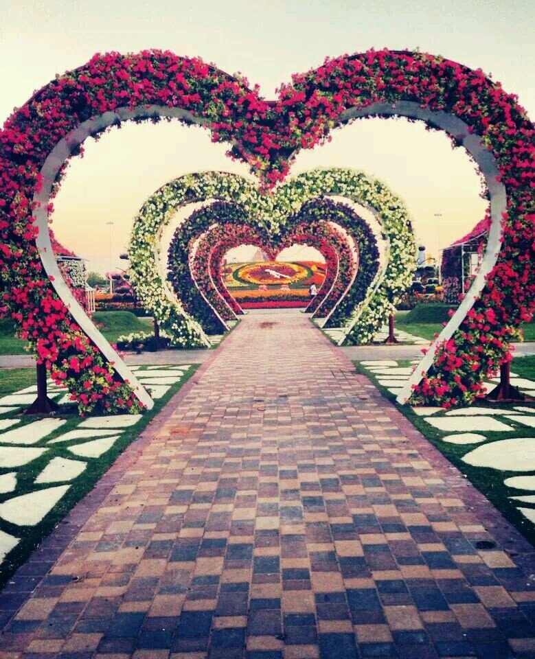 A third year pharmacy student at #AAU #muslim #الحمدلله
