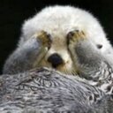 Tina bobo - @Tinavott - Twitter