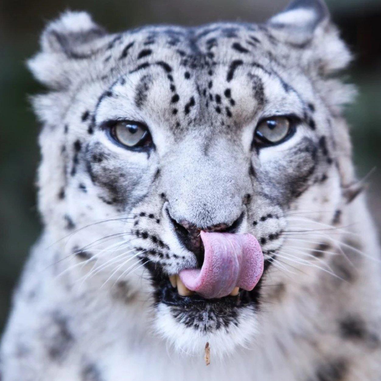 Nagorek's profile picture. 