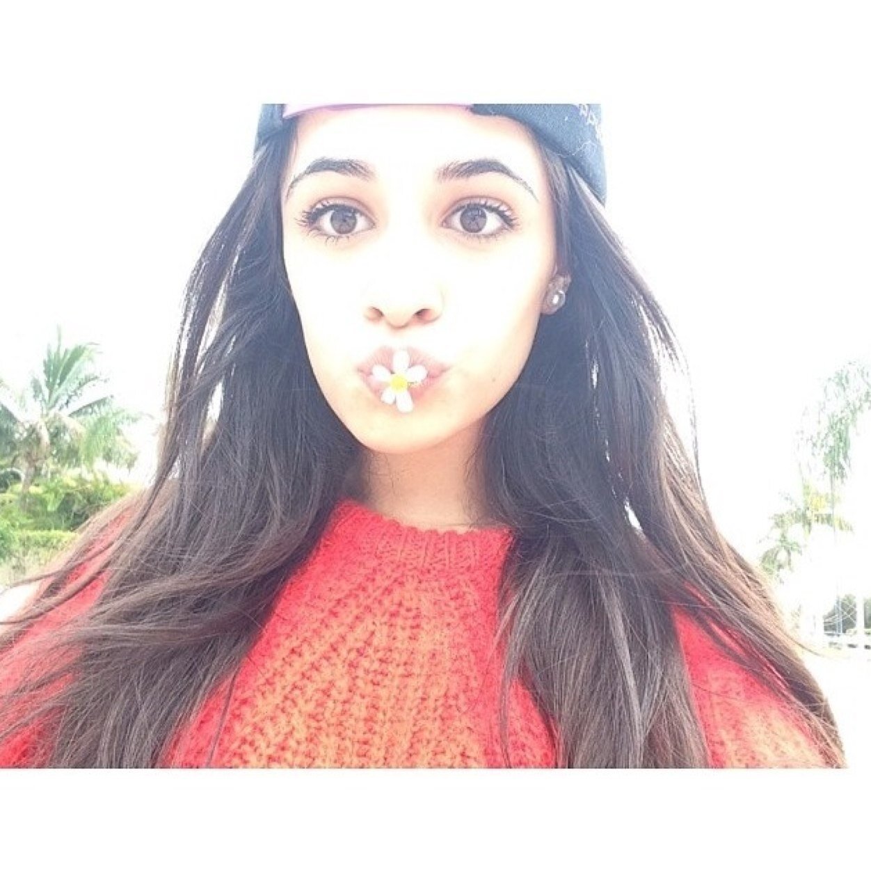 heres a free follow for you (: follow @chlorxl on instagram please? thank you ily stay beautiful