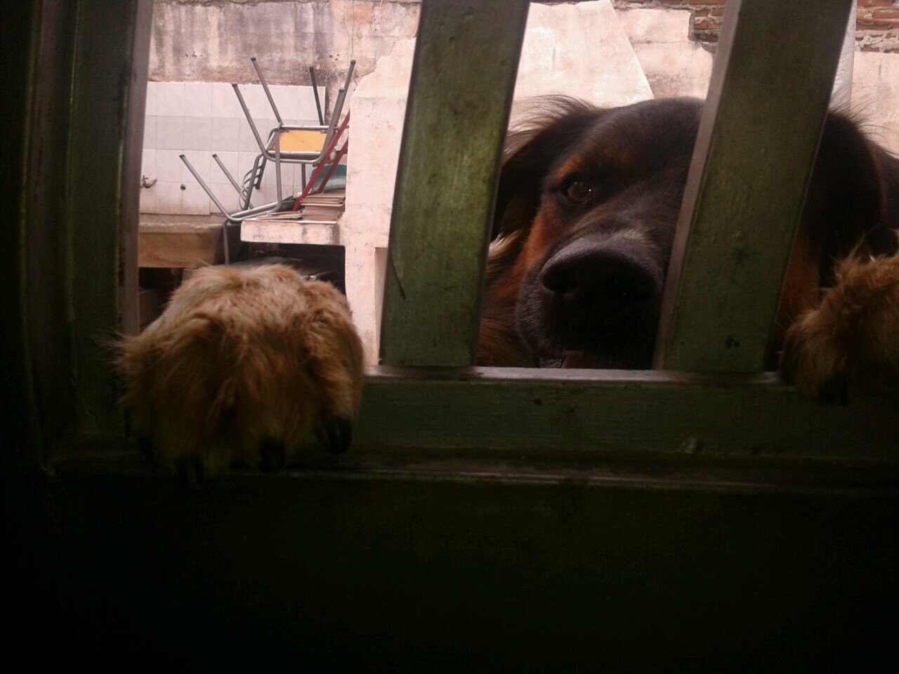 Angeliito_CARP's profile picture. ⑭ (C.A.R.P)  ⑭