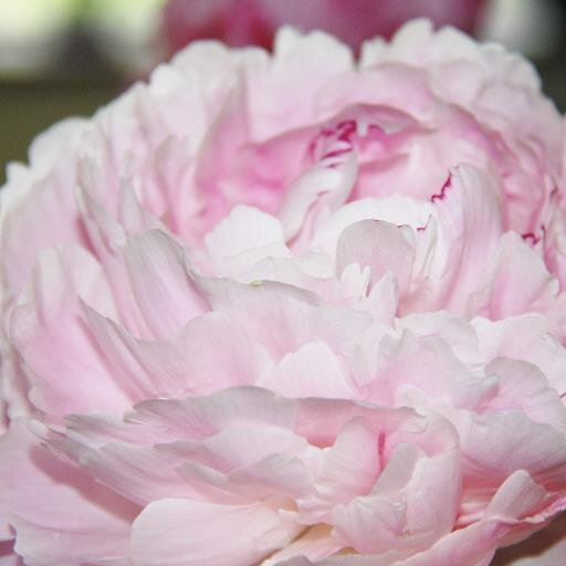 Great website - Handcrafted Cards, Jewellery, Collectables and photography