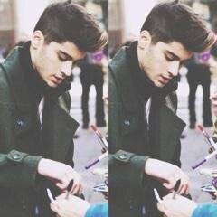 zayn // 21 // single // bisex