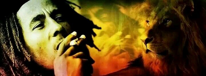 venteconmigo2's profile picture. 