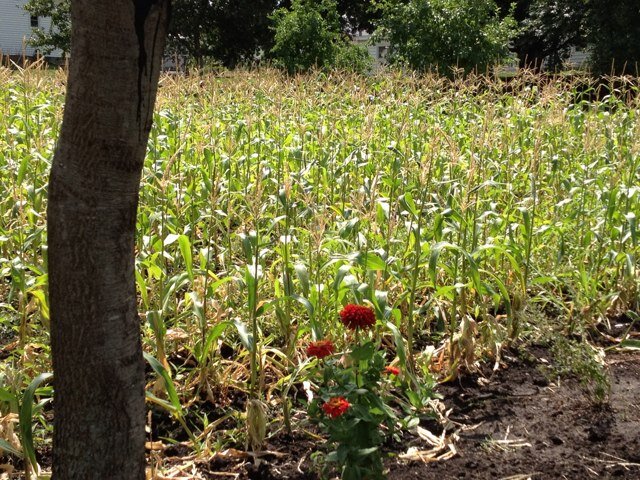 Laura_Moley's profile picture. 