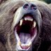 Stewie the Bear (@smrodger1975) Twitter profile photo