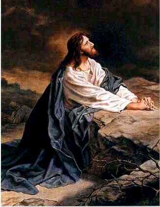 kita_renungan's profile picture. Ya Tuhan lembutkanlah hatiku untuk dapat mengerti kehendak dan rencana-Mu.