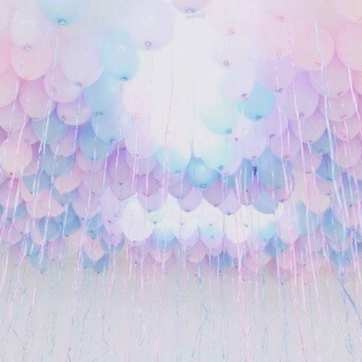 dm me any questions you wanna ask an account and i'll anonymously ask them for you! ˘◡˘
