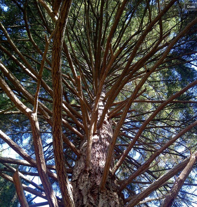 ldfrey's profile picture. Elementary School Principal