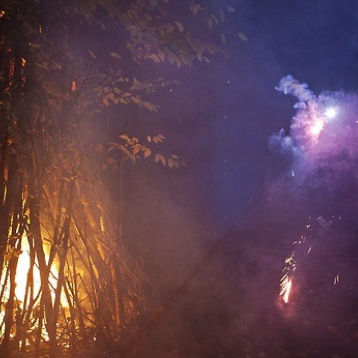 joshwehle's profile picture. : : :