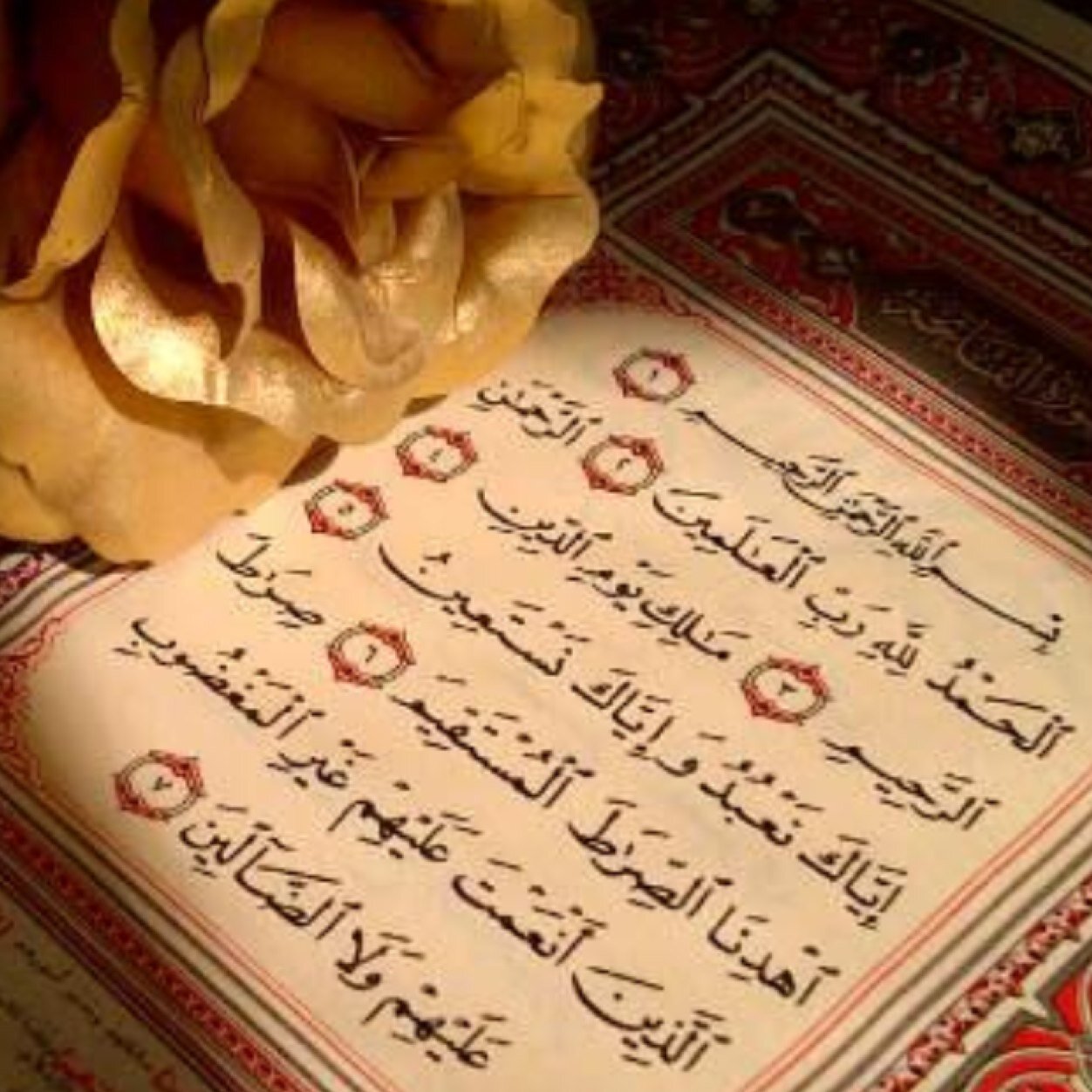 ألف حزن علمني أن أقوم من جديدَ ، و ألف خيبه علمتنيّ أن لاأثق ، و ألف صدمه علمتنيّ أن أكون أقوى .. فَهي دنيا لن تصفى لأحد”