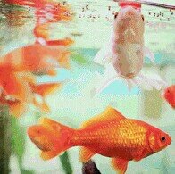 gassssssq22's profile picture. 