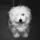 Marley - @MarleySmith - Twitter