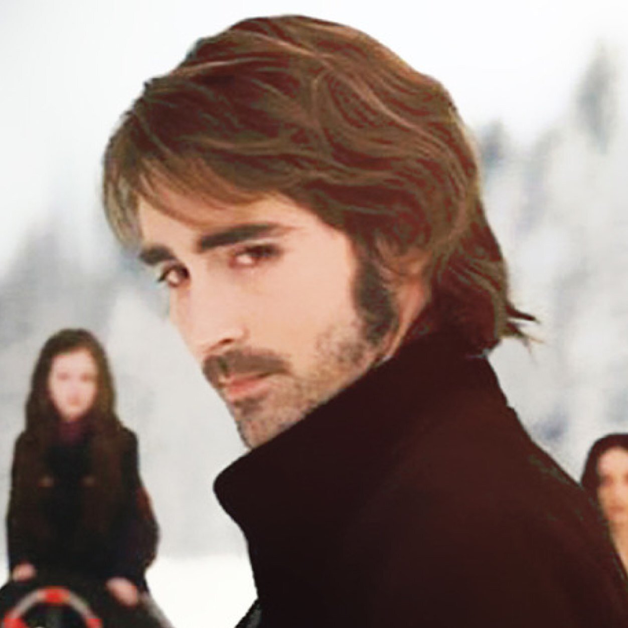 Vampire red eyes and The Denali / Parody account / belong to @Carlisle_parody