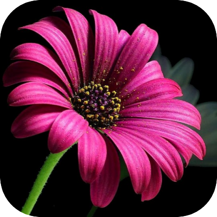 DynaPrice's profile picture. 