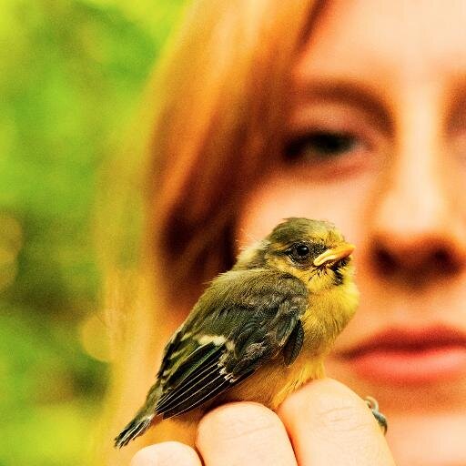 Ecologist and tit botherer at the Edward Grey Institute, University of Oxford.